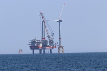 IMG_8430 (Large).JPG