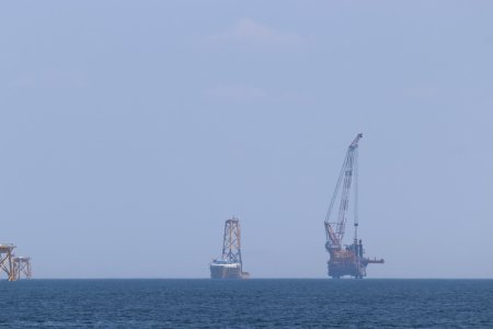 IMG_8444 (Large).JPG