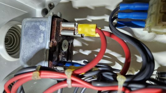 20230820_113800.jpg 20230820_113800.jpg