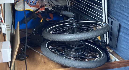 IMG_4660 1000pix.jpg IMG_4660 1000pix.jpg