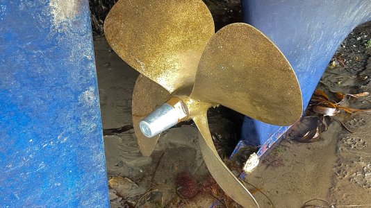 IMG_0316.jpeg IMG_0316.jpeg