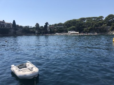 IMG_1896.jpeg IMG_1896.jpeg