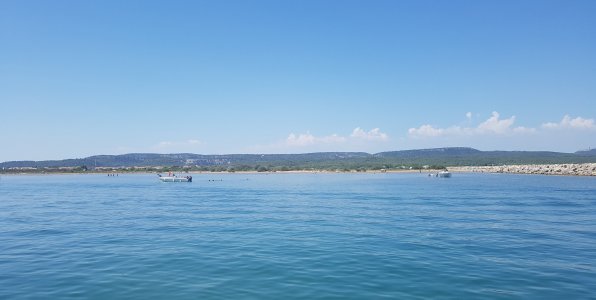 Resize_20230823_145501_1442.jpg Resize_20230823_145501_1442.jpg