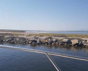 Resize_20230823_145500_0920.jpg Resize_20230823_145500_0920.jpg