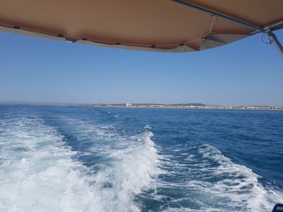 Resize_20230823_145458_8847.jpg Resize_20230823_145458_8847.jpg