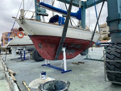 IMG_6176.jpeg IMG_6176.jpeg