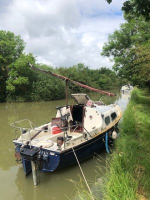 Seagull.jpg Seagull.jpg