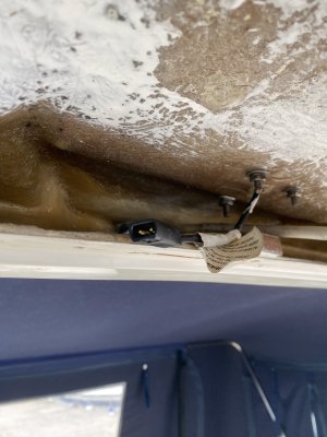 IMG_4685.jpeg IMG_4685.jpeg