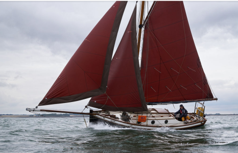 Plum at East Coast Race 2019 by Sandy Miller 2Mb.png