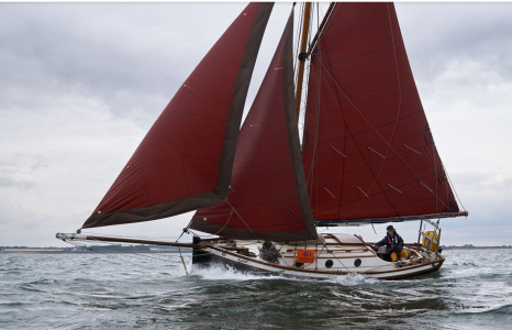 Plum at East Coast Race 2019 by Sandy Miller 2Mb.png Plum at East Coast Race 2019 by Sandy Miller 2Mb.png
