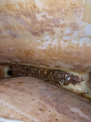 20230811_132357.jpg 20230811_132357.jpg