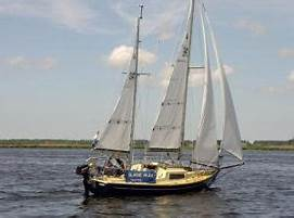 1697811375352.png 1697811375352.png