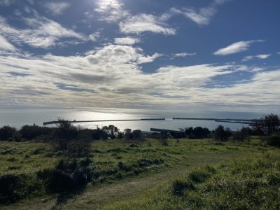 IMG_8954 1000pix.jpg