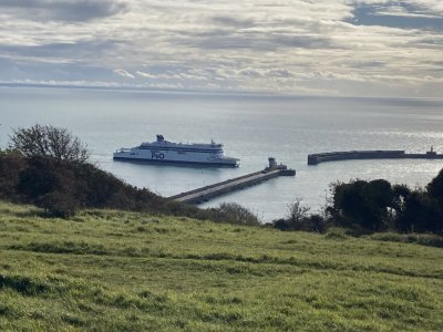 IMG_8956 1000pix.jpg