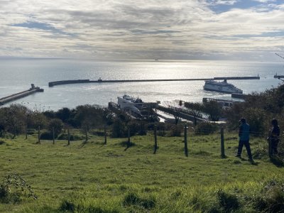 IMG_8960 1000pix.jpg