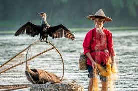 images.jpeg images.jpeg