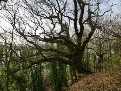 P1030614.JPG P1030614.JPG