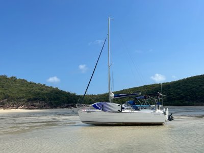 IMG_2182.jpeg IMG_2182.jpeg