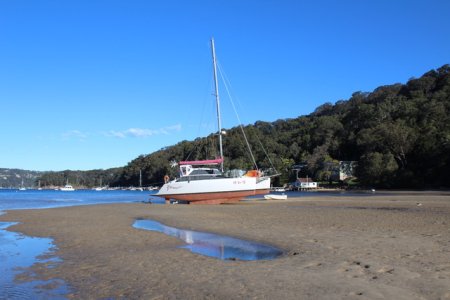 IMG_4551.jpeg IMG_4551.jpeg