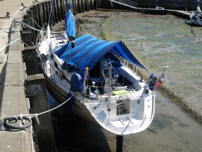 IMG_0353.jpeg IMG_0353.jpeg