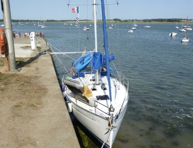 IMG_0354.jpeg IMG_0354.jpeg