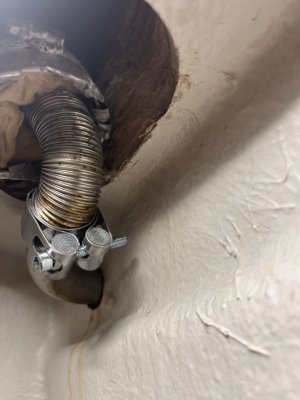 IMG_0921 – stort.jpeg IMG_0921 – stort.jpeg