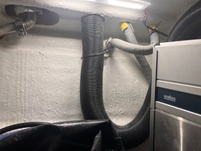 IMG_0919 – stort.jpeg IMG_0919 – stort.jpeg