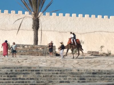 20231122_105738.jpg 20231122_105738.jpg