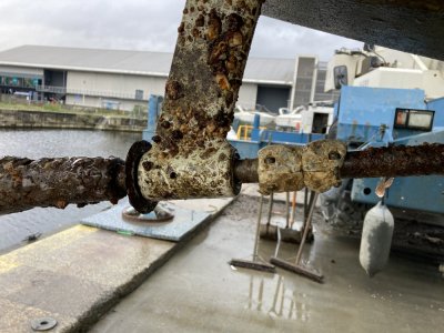 IMG_9167 1000pix.jpg IMG_9167 1000pix.jpg