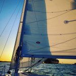 12950250_856972587782490_1699953797_n.jpg 12950250_856972587782490_1699953797_n.jpg