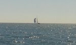 20150808_130116.jpg 20150808_130116.jpg