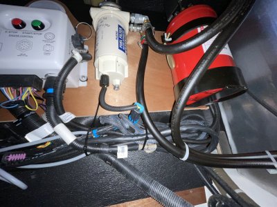 02C8997E-ED72-435A-9014-CAEABCF0400E.jpeg 02C8997E-ED72-435A-9014-CAEABCF0400E.jpeg