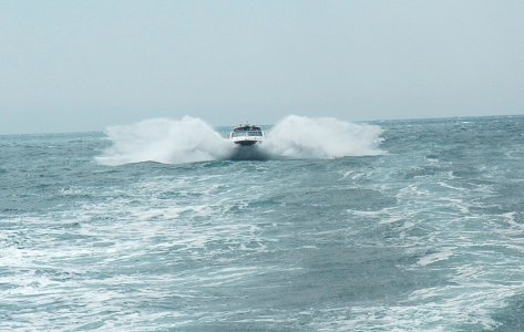 B8523F15-DE1D-4C5C-8425-74B741F7AA00.jpeg B8523F15-DE1D-4C5C-8425-74B741F7AA00.jpeg