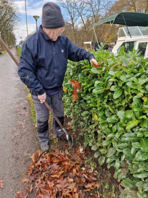 Alicattatwork1sm.jpg Alicattatwork1sm.jpg