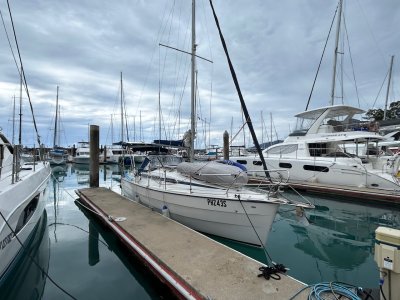 IMG_1385.jpeg IMG_1385.jpeg