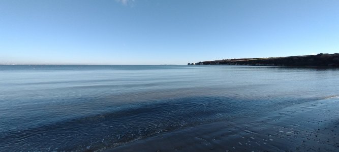 IMG_20240119_122203141.jpg IMG_20240119_122203141.jpg