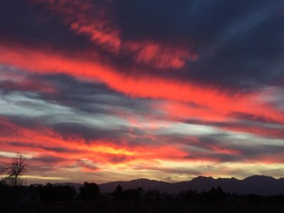 d463c970-89eb-4329-84f3-27182f90f22e.jpeg d463c970-89eb-4329-84f3-27182f90f22e.jpeg