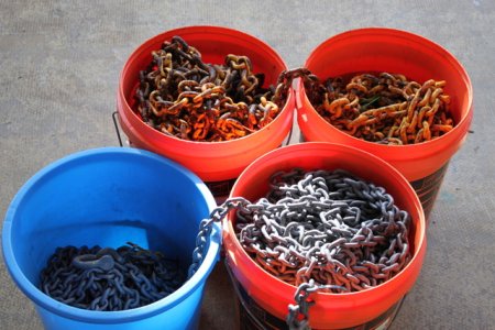 IMG_0337.jpeg IMG_0337.jpeg