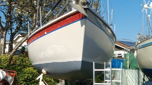 IMAG0043 cropped 1000pix.jpg