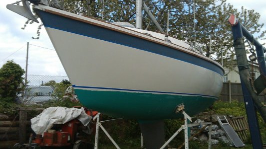 IMAG0082 cropped 1000pix.jpg