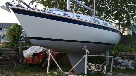 IMAG0117 cropped 1000pix.jpg