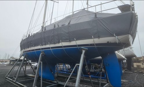 IMG_2157.jpeg IMG_2157.jpeg