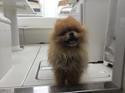 E655D02A-7FBB-43D7-9851-779CB6265369.jpeg E655D02A-7FBB-43D7-9851-779CB6265369.jpeg