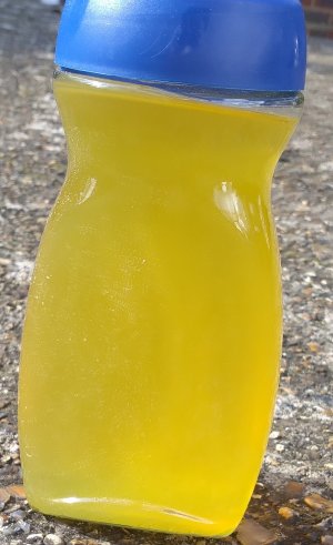 IMG_20240306_130421.jpg IMG_20240306_130421.jpg