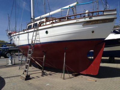 IMG_5862.jpeg IMG_5862.jpeg