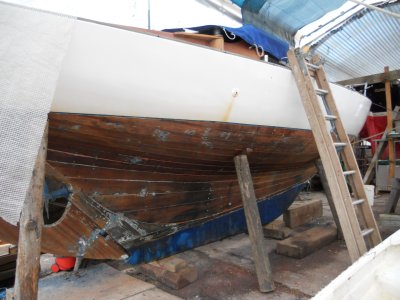 IMG-20240318-WA0007.jpg IMG-20240318-WA0007.jpg