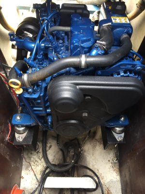 IMG_4419.jpeg IMG_4419.jpeg