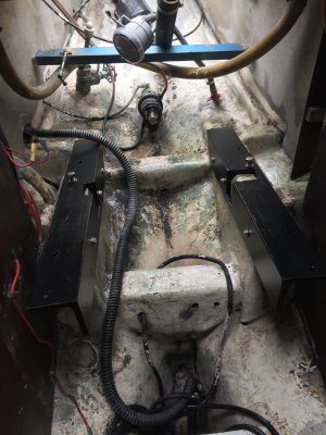 IMG_4414.jpeg IMG_4414.jpeg