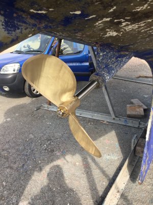 IMG_4436.jpeg IMG_4436.jpeg