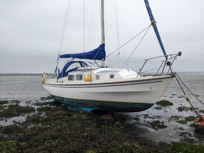 Yacht aground1.jpg